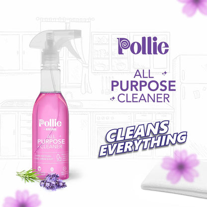 12641 All Purpose Cleaner | Kills 99.9% germs | Cleans Tough Stains, Grease and Rust on Gas Stove, Chimney, Kitchen Sinks, Walls, Rusty Surfaces ( 400gm )413_cleaning_liquid_spray_400gm